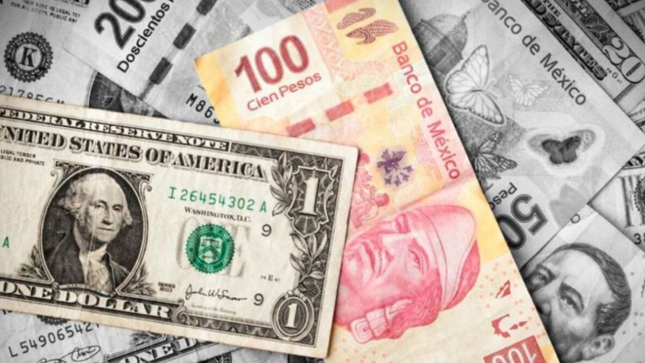 Precio del dólar, 5 de febrero 2024 cuál es el tipo de cambio en