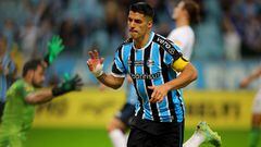 Inter Miami buscará negociar con Gremio la salida de Luis Suárez para que el uruguayo sea futbolista de los Herons en este verano.