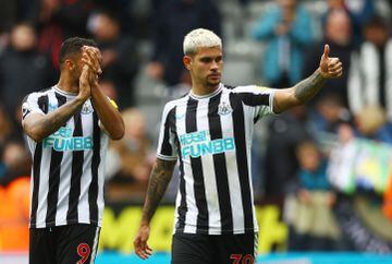 Newcastle are on the verge of Champions League football after a fantastic season.