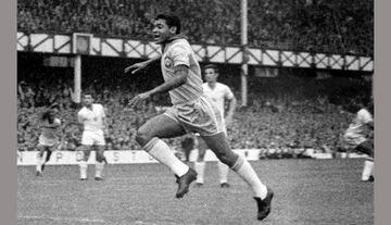 Ganó la Copa del Mundo en Suecia 1958 y Chile 1962 con la Selección de Brasil, fue apodado como 'la alegría del pueblo' por ser el jugador más querido de la afición brasileña y es considerado una de las grandes leyendas del futbol mundial.