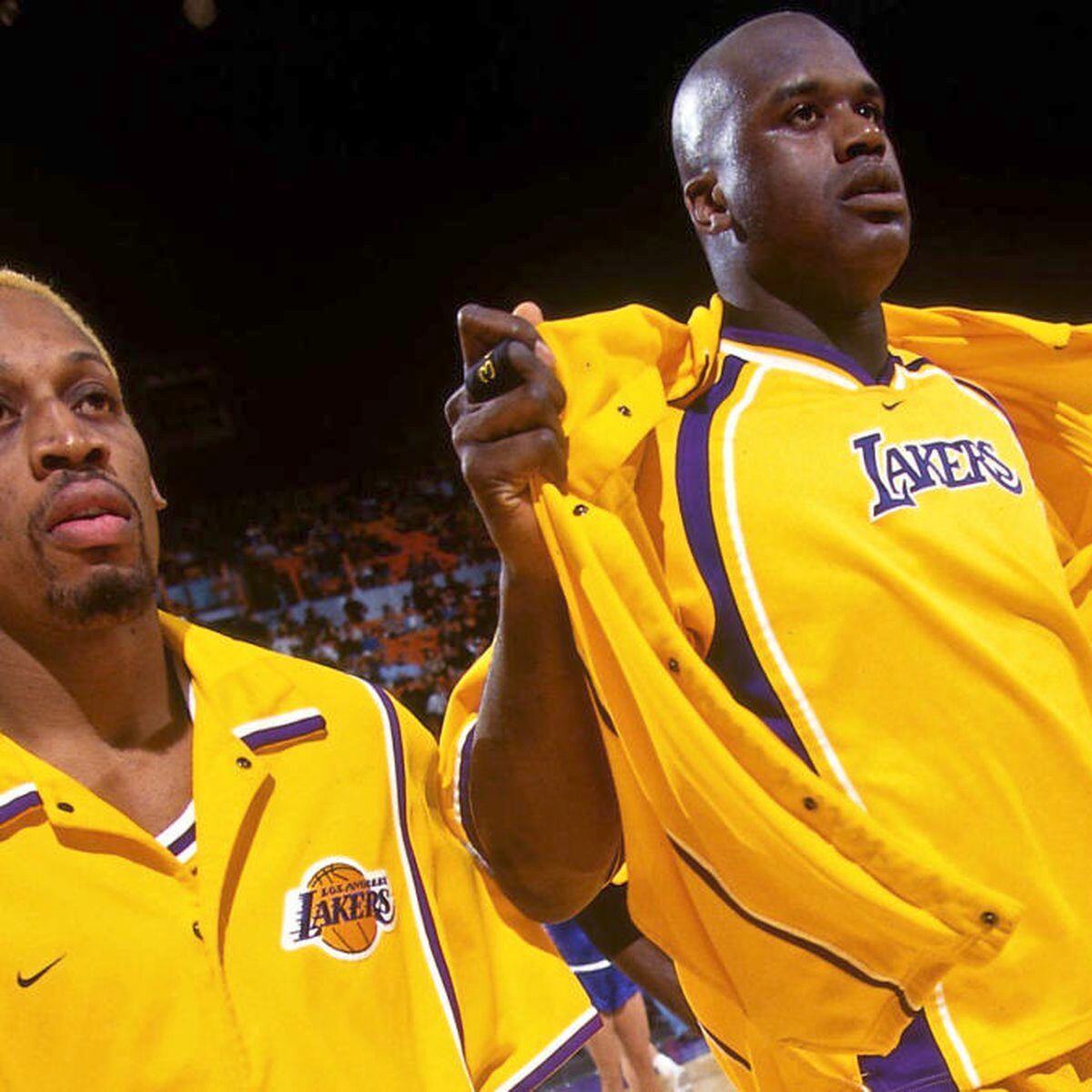 Did you know that Dennis Rodman once played for the LA Lakers? We