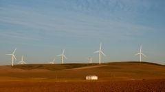 Wind turbines produce renewable energy.