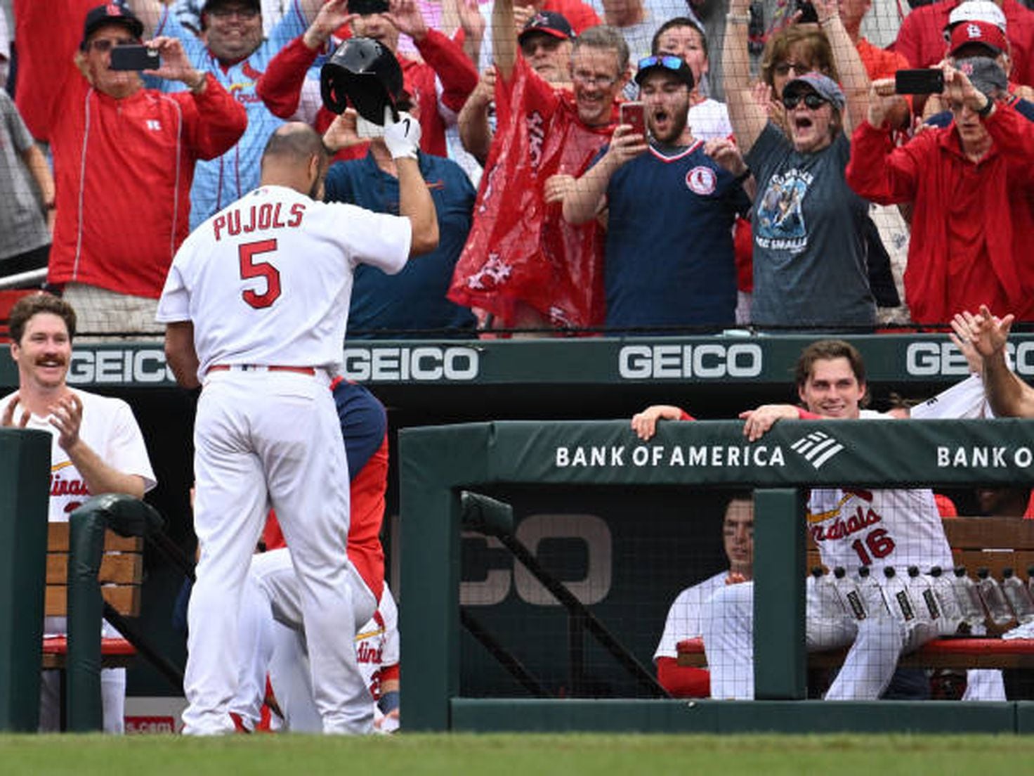 Albert Pujols and #stlcards are finalizing a one-year deal to bring the  three-time MVP back to St. Louis : r/Cardinals