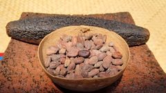 Día Mundial del Cacao: 3 museos de chocolate que puedes visitar en México