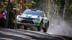 Japón se sumará al calendario del WRC para su temporada 2020