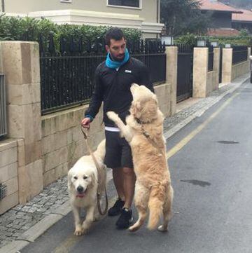 El futbolista del Barcelona, Arda Turan, paseando a sus perros.