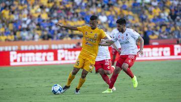 Tigres - Necaxa en vivo: Liga MX, jornada 4 