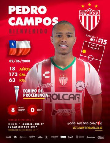 El juvenil futbolista andino llegó a Aguascalientes en calidad de refuerzo para los Rayos pero solamente vio escasa actividad en el Sub-20 de Los Rayos.