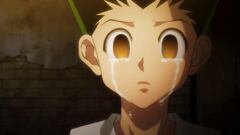 ‘Hunter x Hunter’ ending revealed in case the author dies without finishing the manga