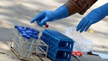 A medical worker arranges swab samples from the Reverse Transcription Polymerase Chain Reaction (RT-PCR) tests conducted for the Covid-19 coronavirus screening at a testing centre in Hyderabad on April 29, 2021. (Photo by NOAH SEELAM / AFP)