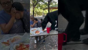 Vídeo: Oso sorprende a familia en el Parque Chipinque y se acaba toda su comida