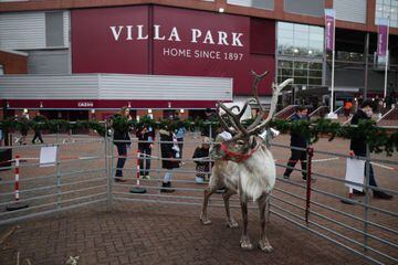 Reindeer outside the Villa Park stadium