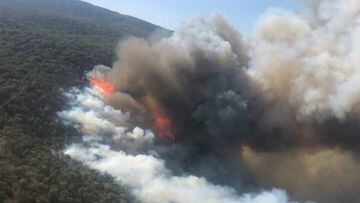 Incendio en bosque La Primavera activa Alerta Atmosf&eacute;rica en Jalisco