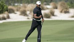 Woods grouped with Reed and Hoffman at Torrey Pines