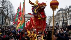 The Lunar New Year is one of the most important holidays in Asian cultures. Each year a new animal represents the year ahead and those born during it.
