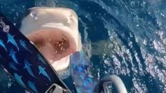 Un tibur&oacute;n tigre sale del agua con la boca abierta a los pies de la buceadora y cient&iacute;fica Ocean Ramsey, que va con las aletas en la escalera de un barco. 
