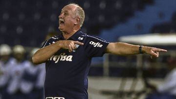 Luiz Felipe Scolari, director t&eacute;cnico de Palmeiras