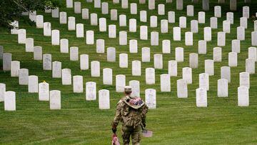 Both Memorial Day and Veterans Day are public holidays which honor US military men and women who have served their country, but what is the difference between the two?