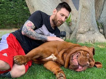 Footballers and their pets
