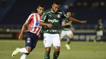 Borja quiere dejar Palmeiras y llegar al Junior de Barranquilla