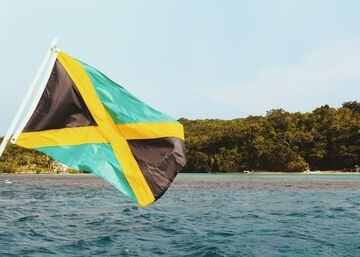 Todas las banderas del mundo contiene alguno de estos colores excepto la de Jamaica, compuesta por los colores verde, amarillo (oro) y negro. El negro simboliza la fuerza y creatividad del pueblo jamaicano, el amarillo la luz del sol y la riqueza natural del país. El verde representa la esperanza en el futuro y la riqueza agrícola.