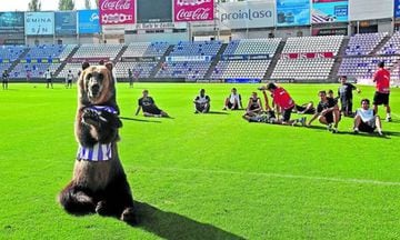 El oso Tima, en el entrenamiento del Valladolid