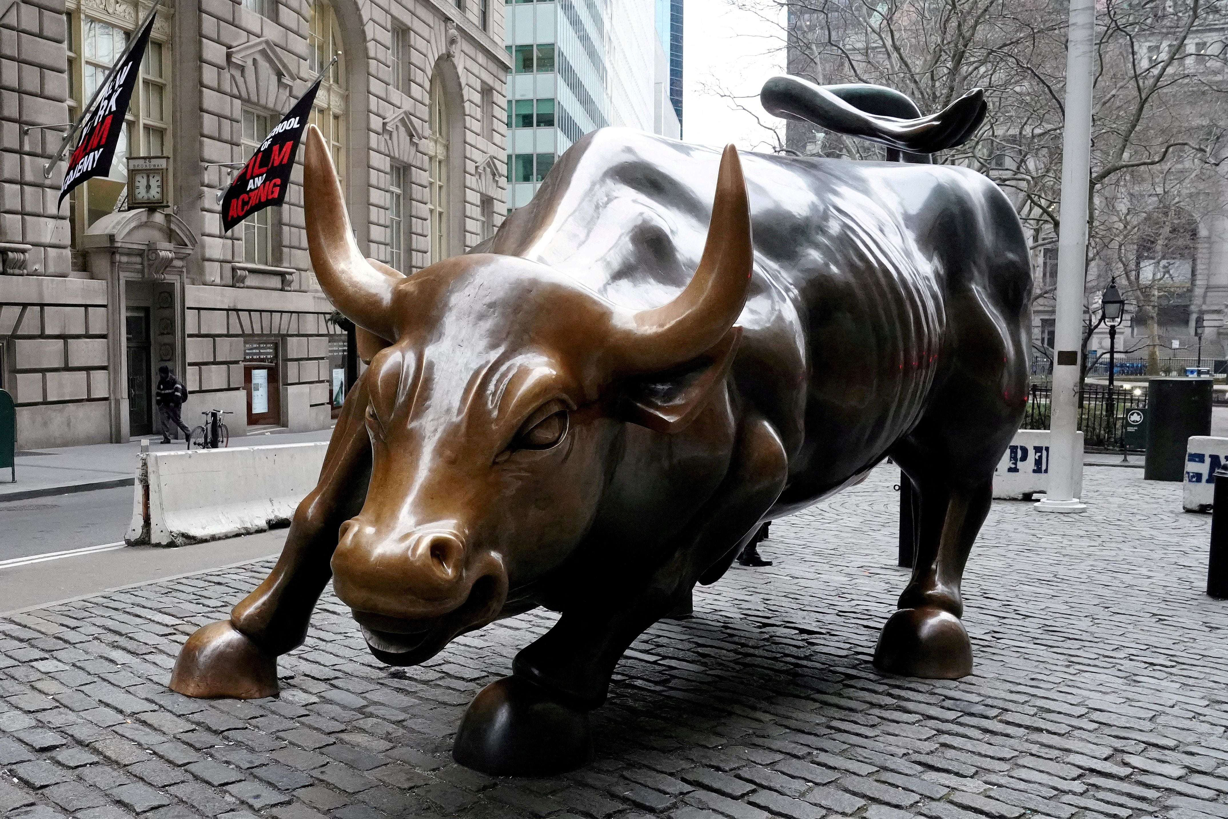 Charging Bull