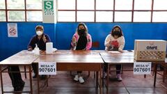 Elecciones Regionales y Municipales de Perú: ¿cuándo son, qué se vota y cuándo fueron las últimas?