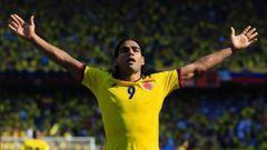 Radamel Falcao, fue el goleador de la Selecci&oacute;n Colombia la pasada eliminatoria 