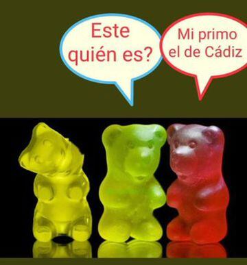 Los mejores memes del oso del cuello roto de la cabalgata de Reyes de Cádiz