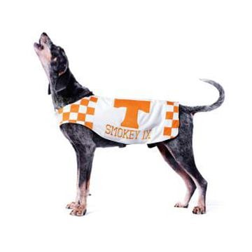 La Universidad de Tennessee tiene a la raza 'Bluetick Coonhound' como mascota de todas las disciplinas en su escuela