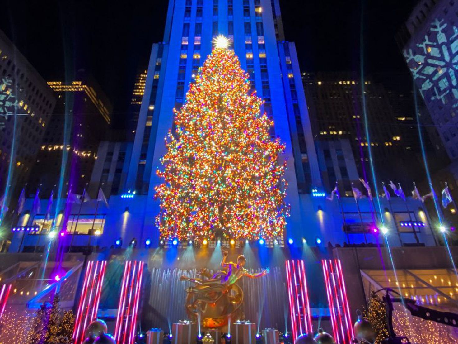 Mejorar frio Aproximación Cuánto dinero vale el árbol de Navidad de Rockefeller y qué tipo de árbol  es - AS USA