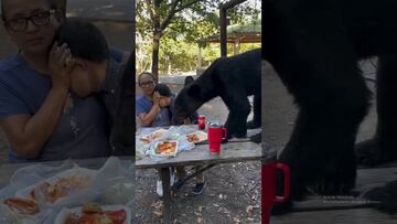 Vídeo: Oso sorprende a familia en el Parque Chipinque y se acaba toda su comida