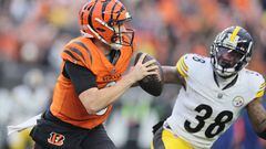 Week thirteen of NFL action is red hot and we have all the info on the coming game between the Bengals and the Jaguars.