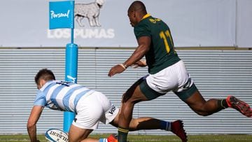 Los Pumas 13 - 46 resumen y resultado - AS