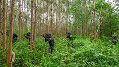 GUANGXI, CHINA - JULY 4, 2022 - Officers and soldiers of China's armed police carry out a real-combat anti-terrorism operation training in an unfamiliar area on July 4, 2022 in Guangxi, China. (Photo credit should read CFOTO/Future Publishing via Getty Images)