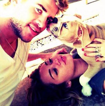 En junio 2012, Miley twitteó una foto de su nuevo perro, Ziggy. 