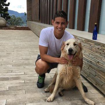El futbolista colombiano del Reak Madrid, James Rodríguez, con su perro Dylan.