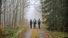 Tres excursionistas realizando una ruta de senderismo por el bosque.
