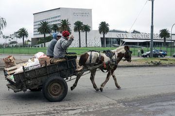 2 hombres montan en un carro artesano tirado por un caballo en la avenida anexa al lugar del enlace entre Leo Messi y Antonella Roccuzzo.