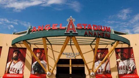 The Angels and one of their players are now a civil suit. The situation has brought into question the legal rights of fans who ‘assume’ risks when spectating.