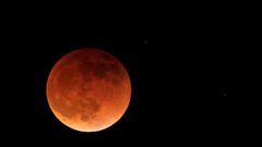Eclipse Lunar, hoy 8 de noviembre: a qué hora comienza y de qué lugares de Chile se podrá ver