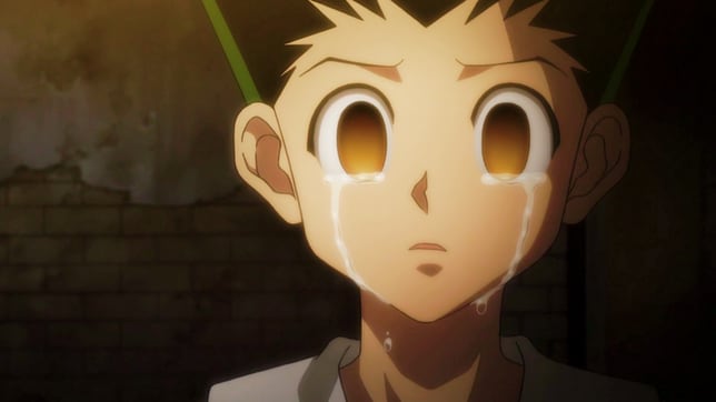 Hunter x Hunter' ending revealed in case the author dies without