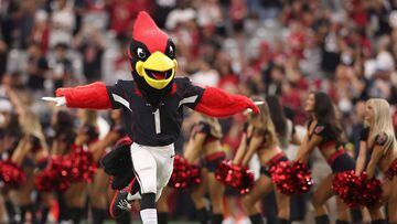 Arizona Cardinals mascot, "Big Red" runs onto the field before the NFL preseason game against the Baltimore Ravens.