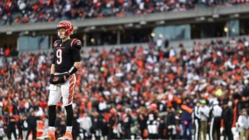 Cincinnati Bengals vs. Tampa Bay Buccaneers