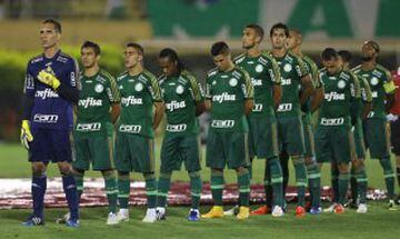 Palmeiras se clasificó como campeón de la Copa Brasil 2015 