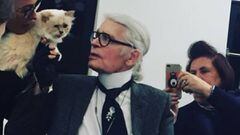 La gata Choupette será la heredera de Karl Lagerfeld