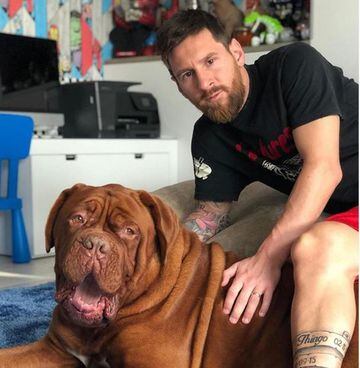 Hulk es el amigo canino que vive con la familia Messi