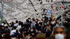 People wearing protective masks, amid the coronavirus disease (COVID-19) outbreak, walk underneath blooming cherry blossoms along the Meguro river in Tokyo, Japan, March 27, 2022. REUTERS/Kim Kyung-Hoon