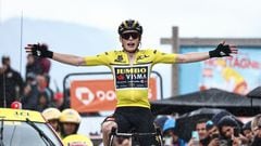 Jonas Vingegaard celebra su victoria en la séptima etapa del Critérium del Dauphiné en la Croix de Fer.